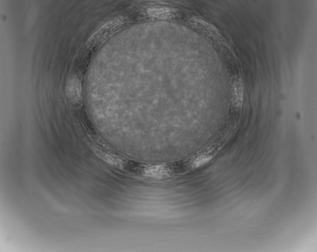 X0000085820705200703301553