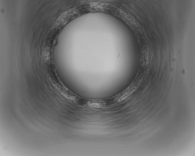 X0000085820706200703301553