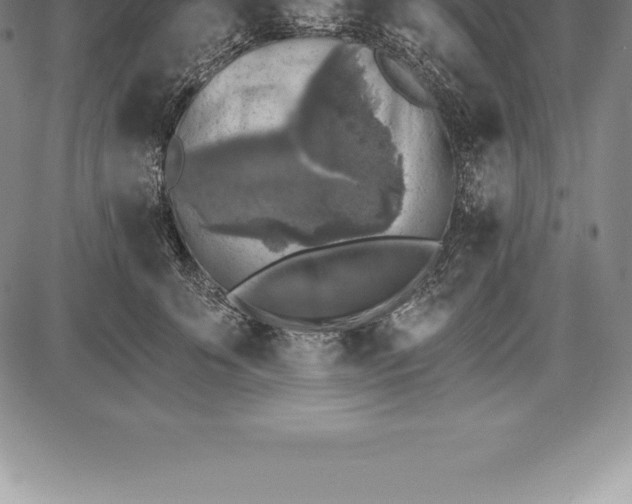 X0000085820707200703301553