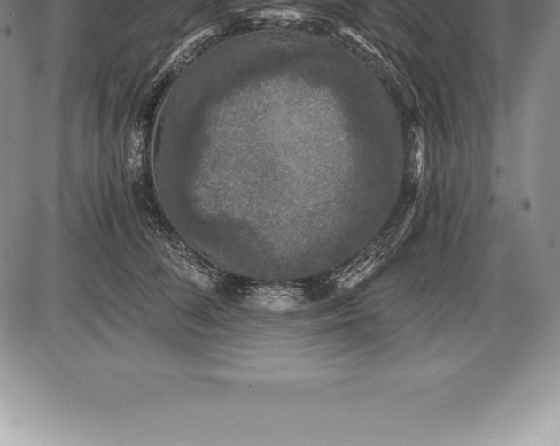 X0000085820708200703301553