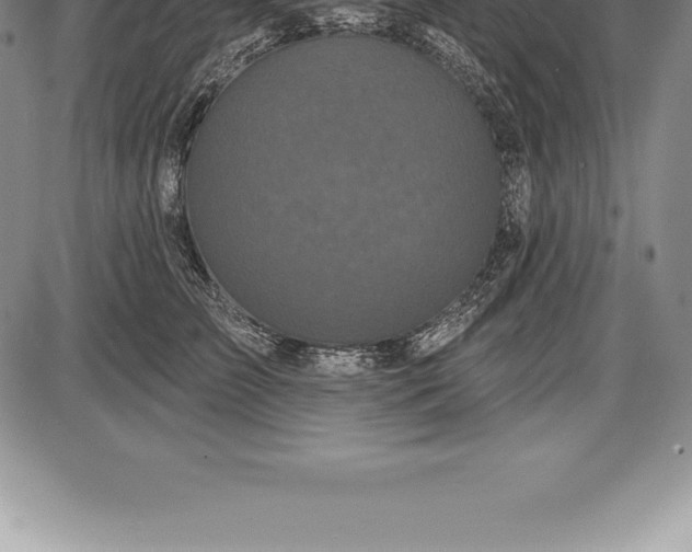 X0000085820709200703301553