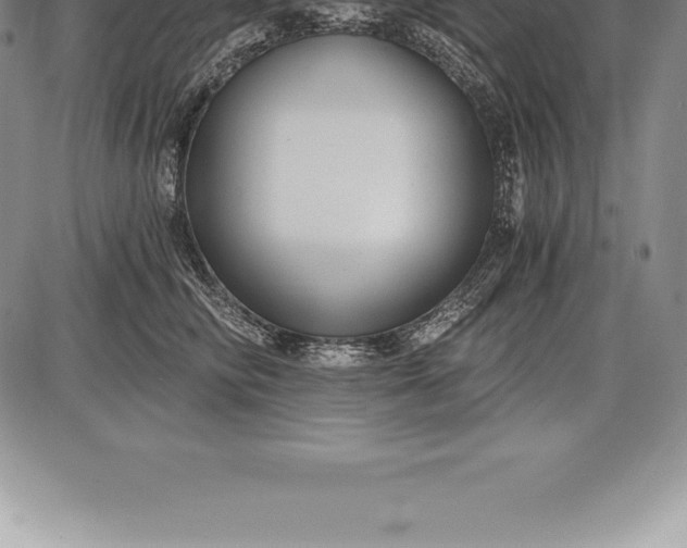 X0000085820710200703301553