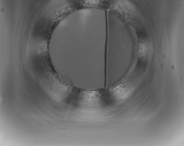 X0000085820711200703301553