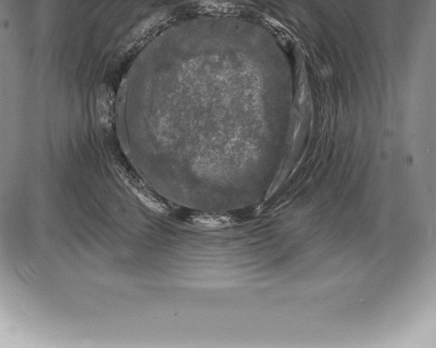 X0000085820712200703301553