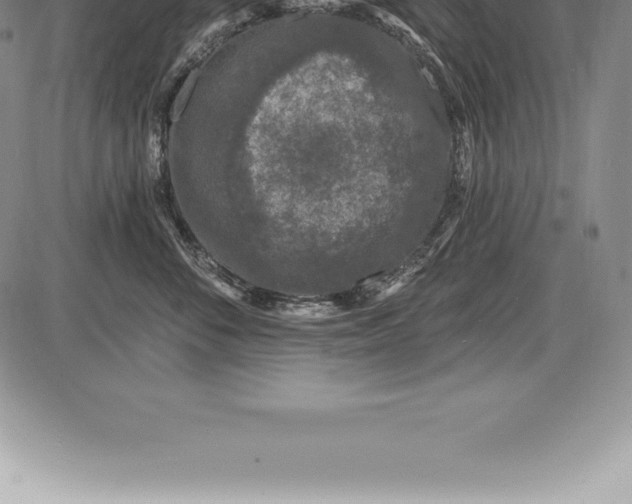 X0000085820716200703301553