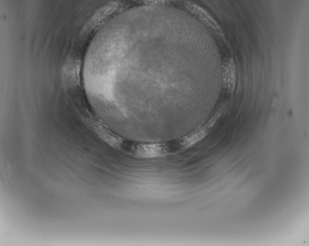 X0000085820717200703301553