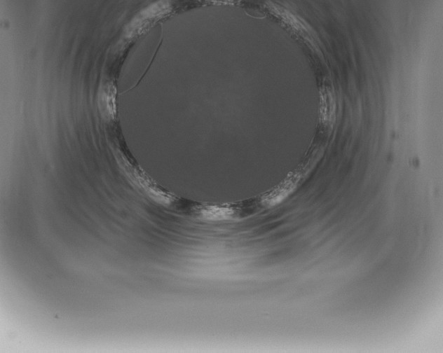 X0000085820718200703301553