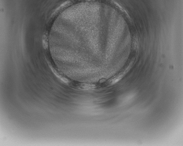 X0000085820719200703301553