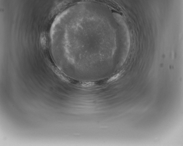 X0000085820720200703301553