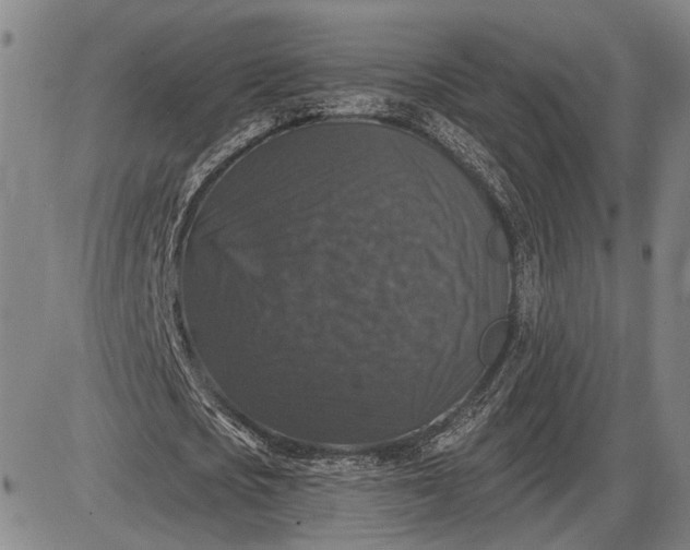 X0000085820721200703301552