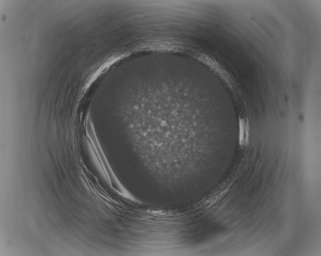 X0000085820723200703301552