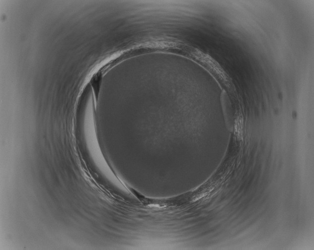 X0000085820724200703301552