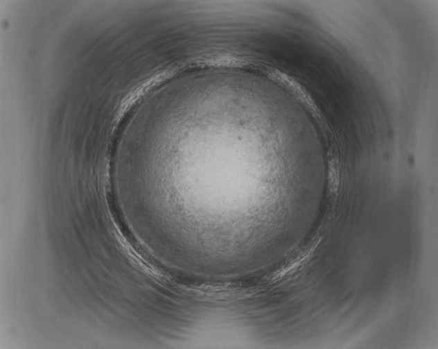 X0000085820725200703301552