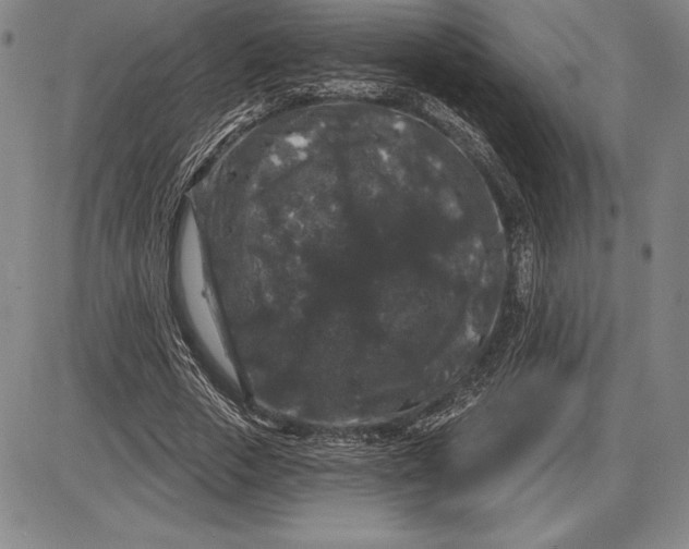 X0000085820729200703301553