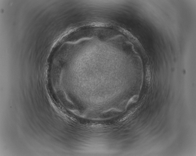 X0000085820730200703301553