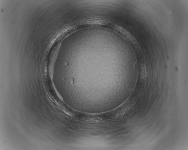 X0000085820731200703301553