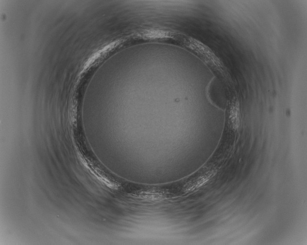 X0000085820732200703301553