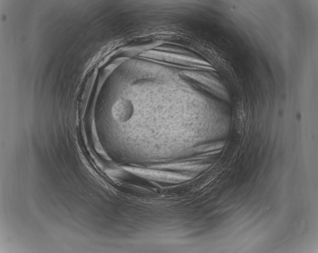 X0000085820734200703301553