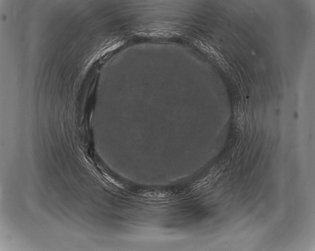 X0000085820735200703301553