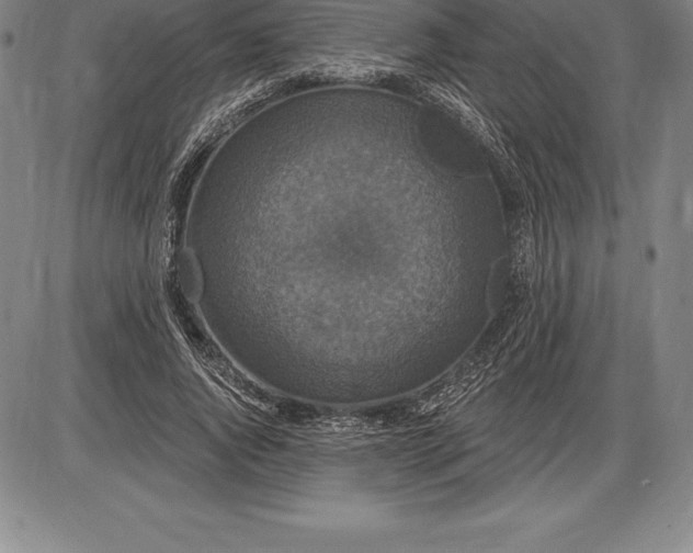 X0000085820736200703301553