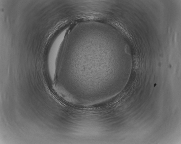 X0000085820738200703301553