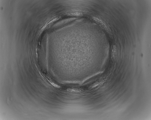 X0000085820739200703301553