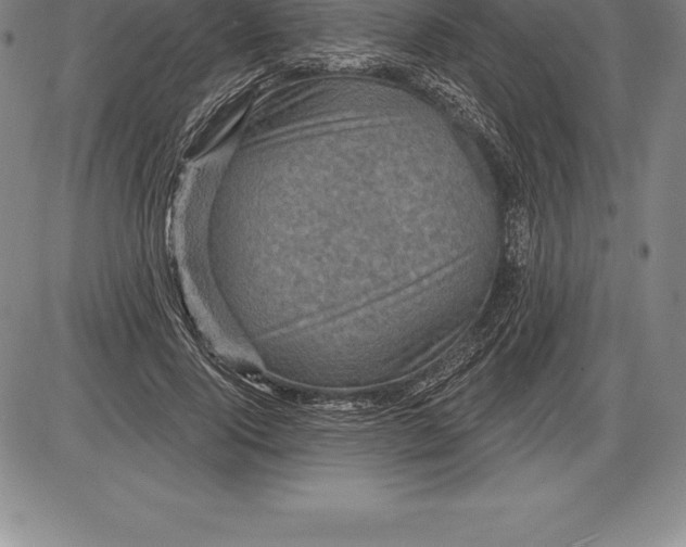 X0000085820740200703301553