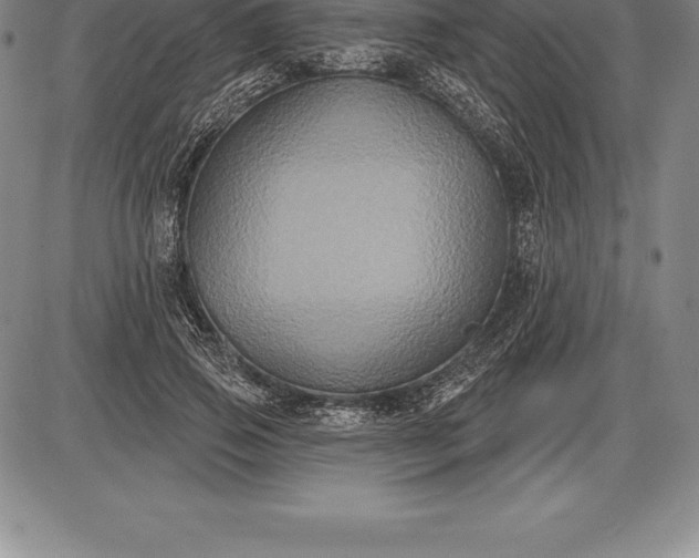 X0000085820741200703301553