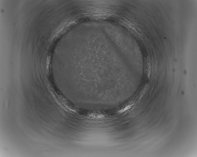 X0000085820742200703301553