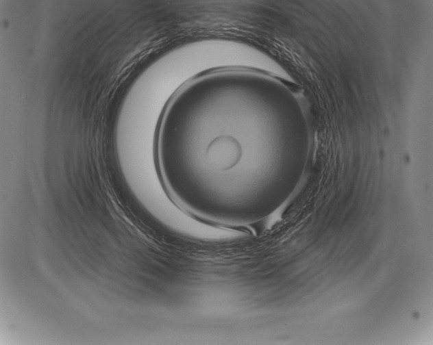 X0000085820744200703301553