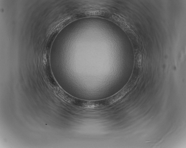 X0000085820746200703301553