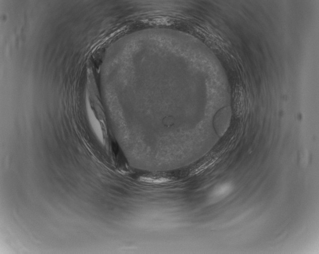 X0000085820747200703301553