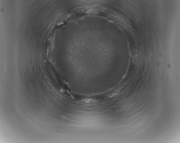 X0000085820748200703301553