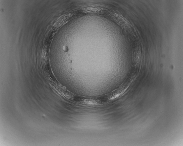 X0000085820749200703301553