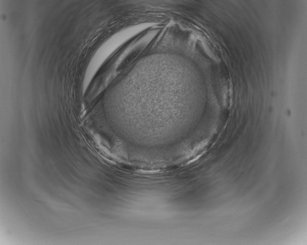 X0000085820750200703301553