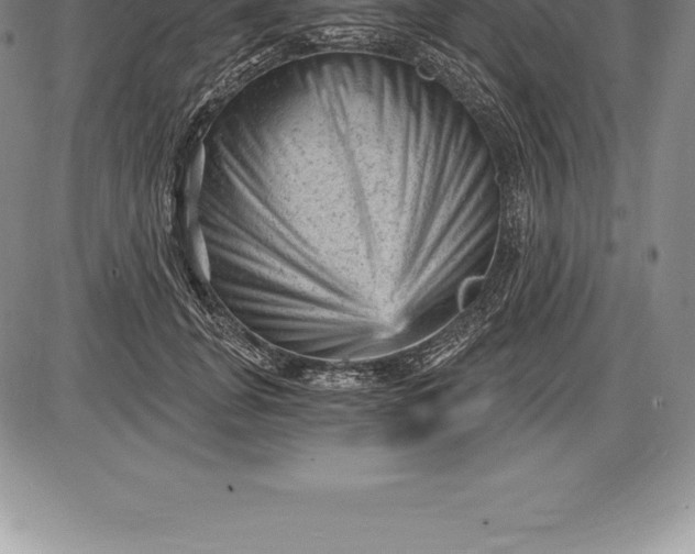 X0000085820751200703301553