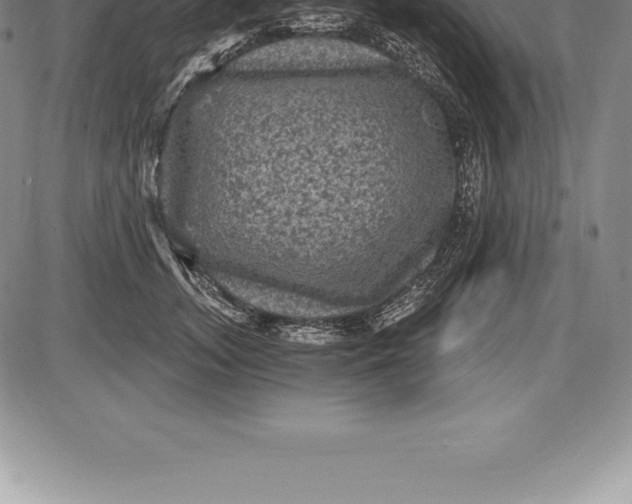 X0000085820755200703301553