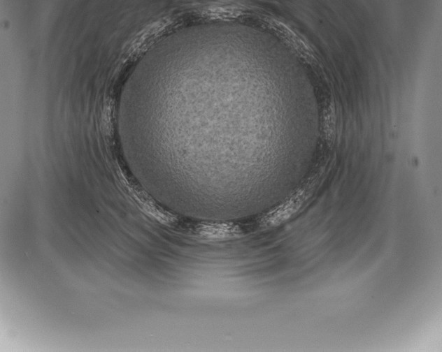 X0000085820757200703301553