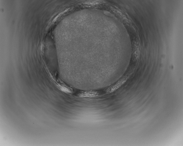 X0000085820758200703301553