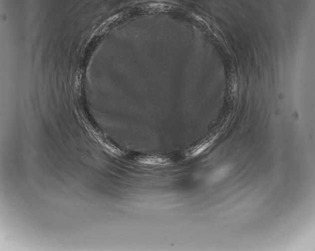 X0000085820759200703301553