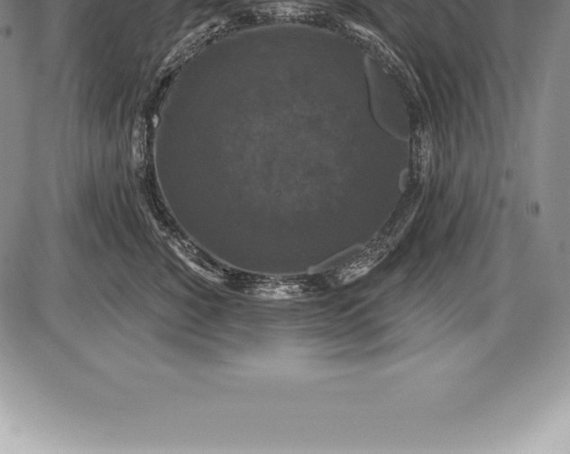 X0000085820760200703301553