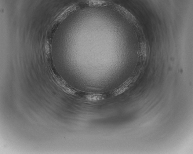 X0000085820761200703301553