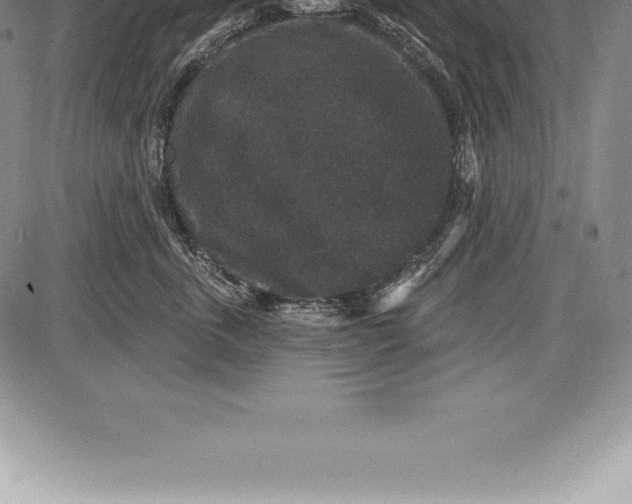 X0000085820763200703301553