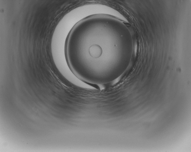 X0000085820764200703301553