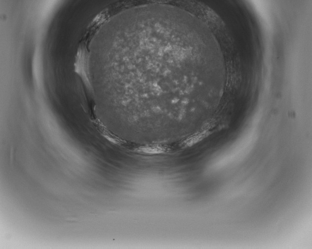 X0000085820765200703301553