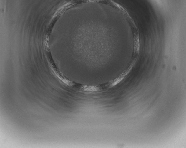 X0000085820766200703301553