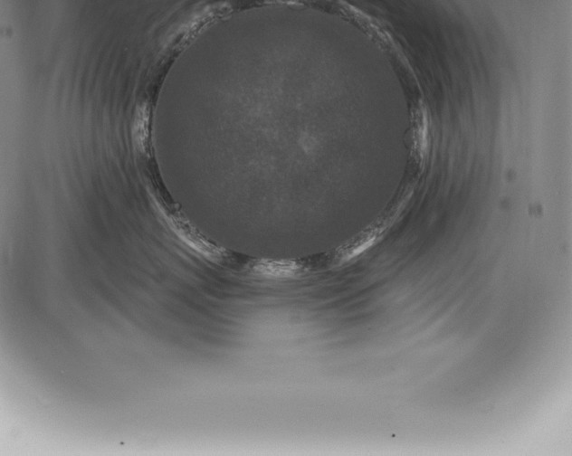 X0000085820767200703301553