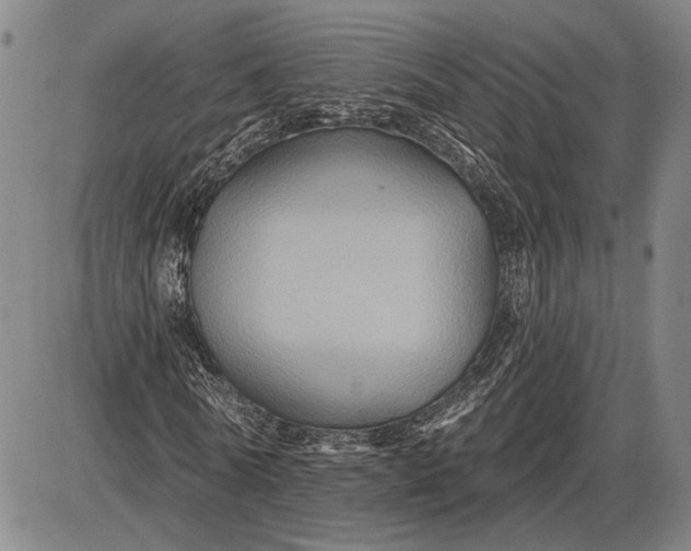 X0000085820770200703301552