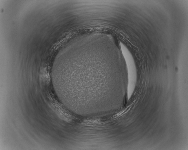 X0000085820771200703301552