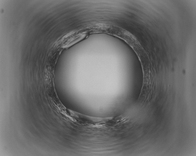 X0000085820773200703301552